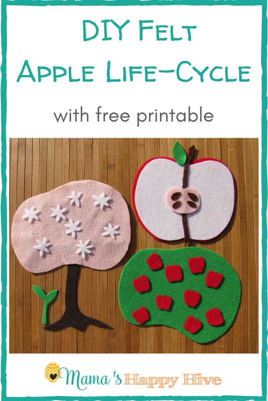 DIY-Felt-Apple-Life-Cycle-3 Activities for Johnny Appleseed Day