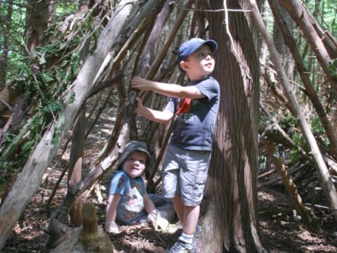 Image for Build a Stick Forest Home