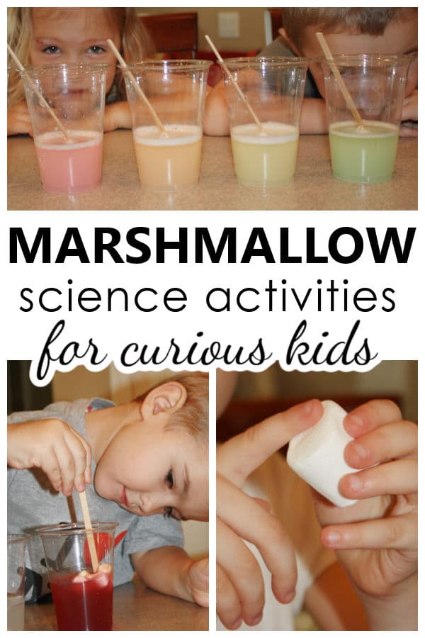 Marshmallow-Science-Activities-for-Curious-Kids-Preschool-and-Kindergarten-Science-Experiments-with-Marhmallows Camping STEM Activities