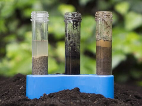 Image for Explore Soil and Dirt