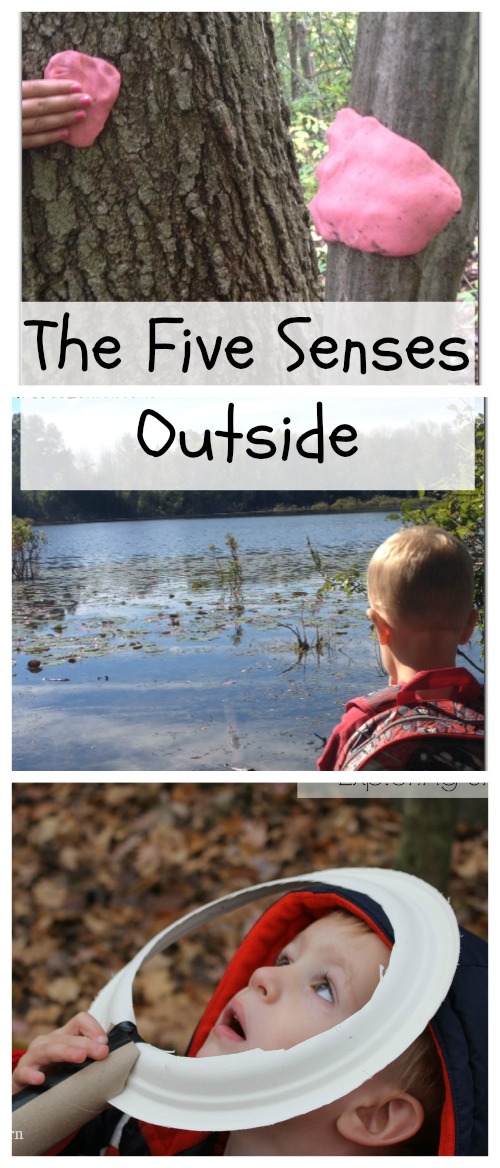 five-senses-activities-for-kids Camping STEM Activities