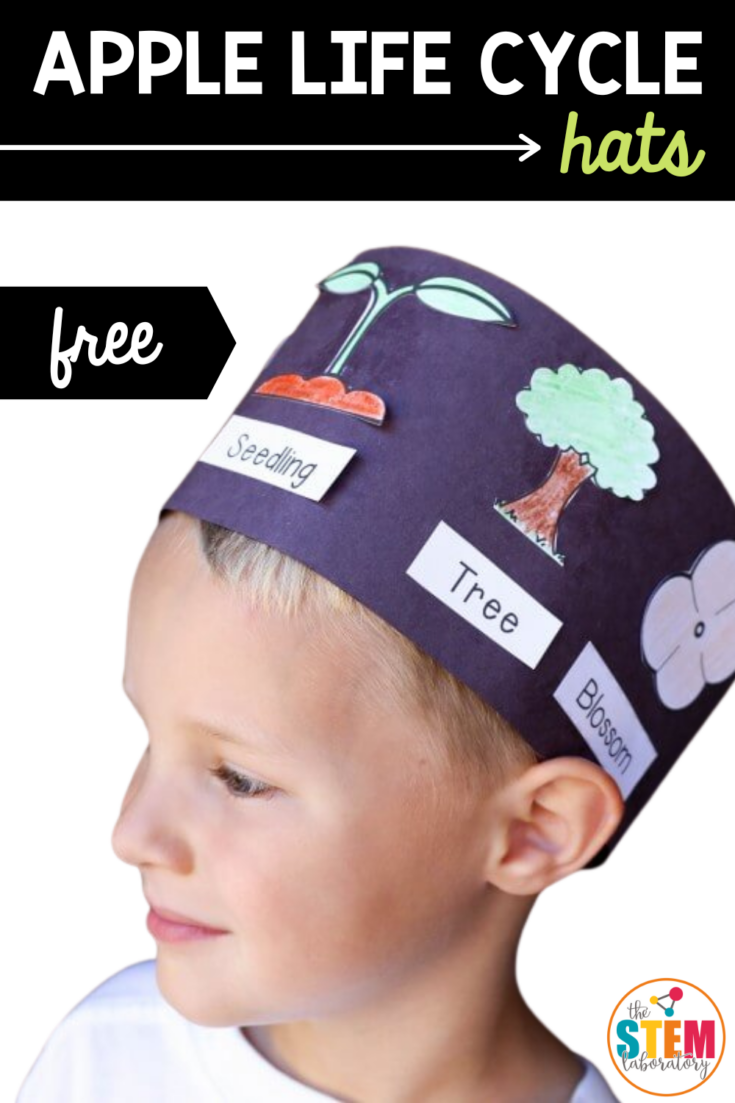 free-apple-life-cycle-hats--735x1103 Activities for Johnny Appleseed Day