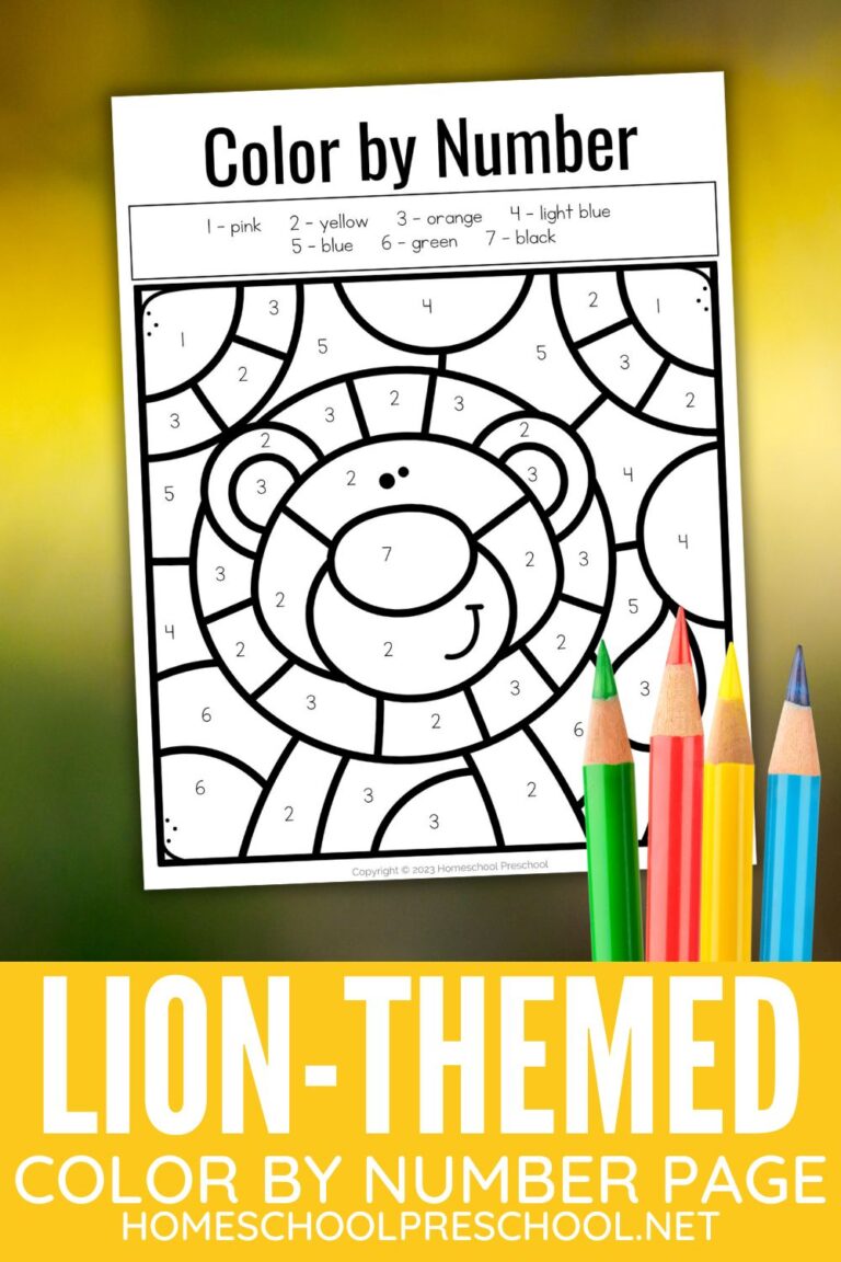 Lion Color by Number