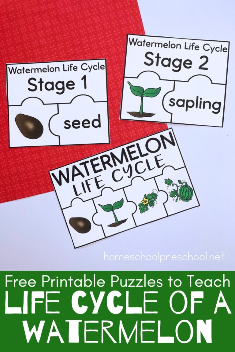 Watermelon Life Cycle Printable