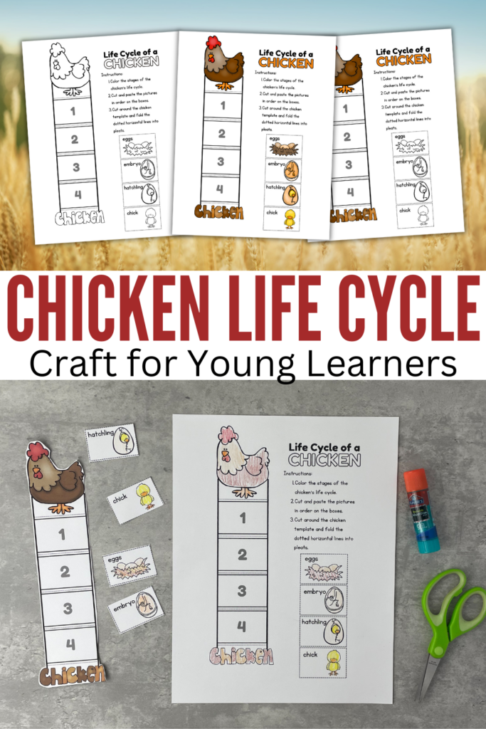chicken-crafts-for-preschoolers-683x1024 Chicken Life Cycle Craft