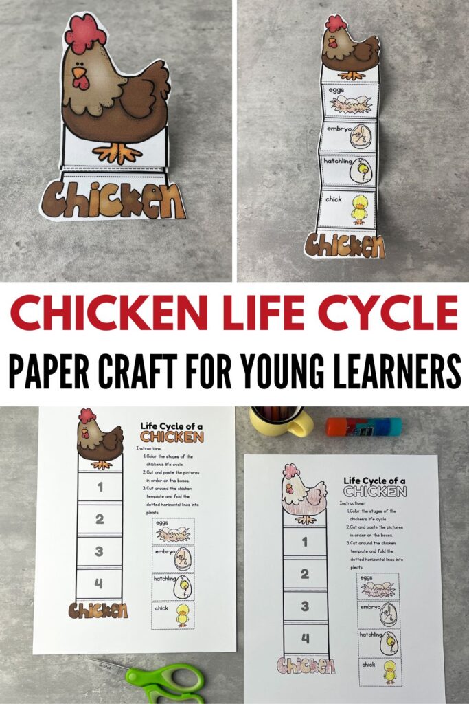 life-cycles-worksheets-683x1024 Chicken Life Cycle Craft