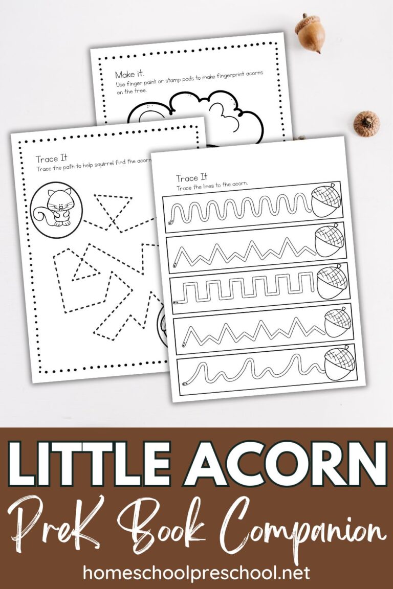 Little Acorn Book Activities