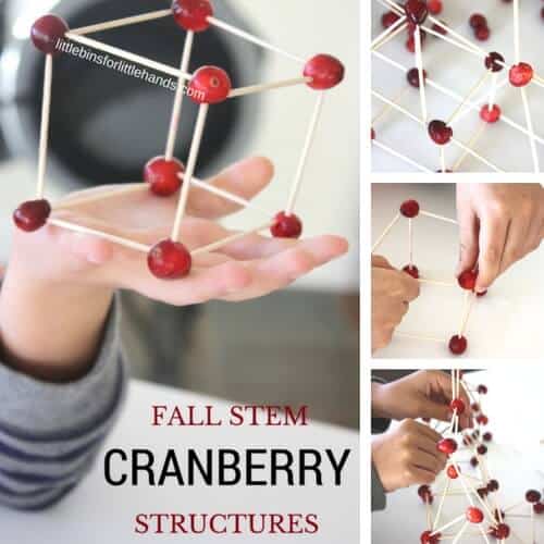 Cranberry-Structures-for-Fall-STEM-and-Thanksgiving-Engineering Thanksgiving STEM Activities