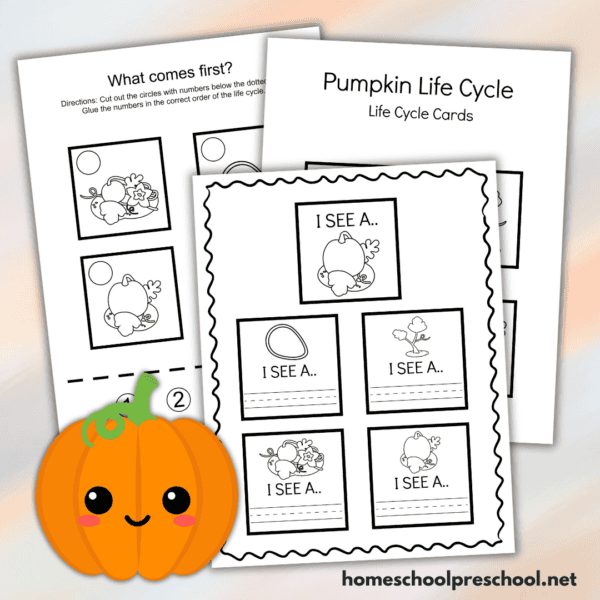 Free Life Cycle of a Pumpkin Printable for Preschoolers
