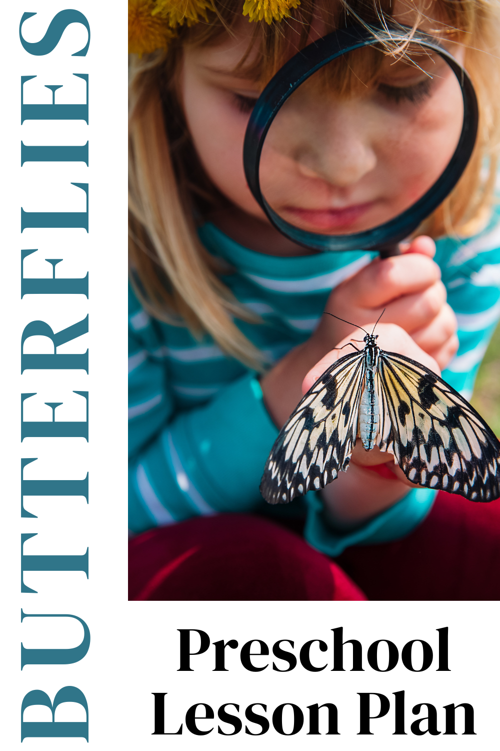 butterfly-lesson-plan Butterflies Lesson Plan
