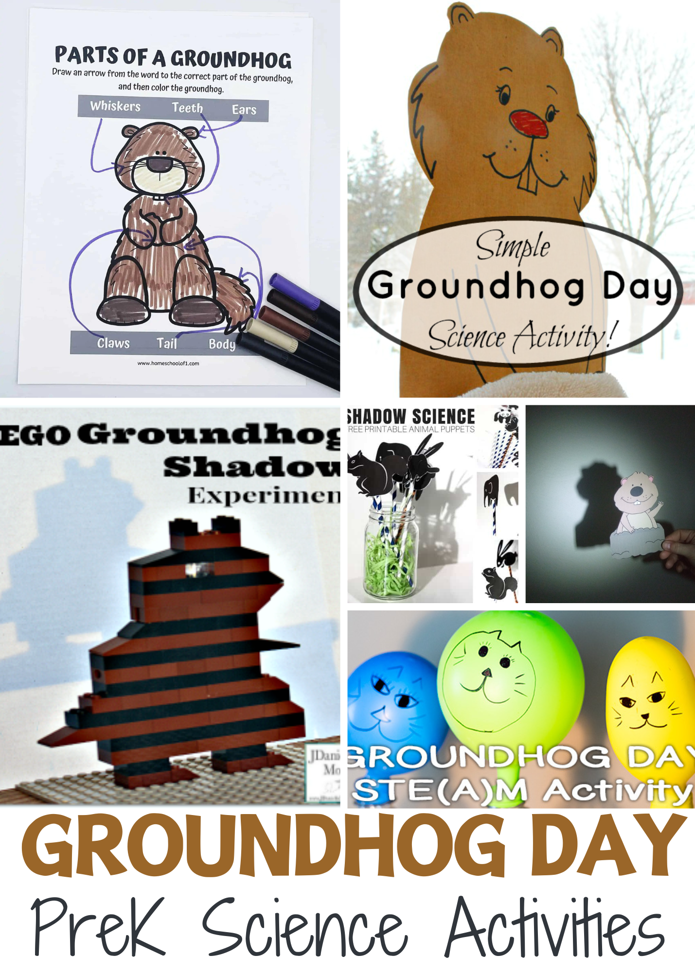 groundhog-day-activities-for-kindergarten Groundhog Day Science Activities