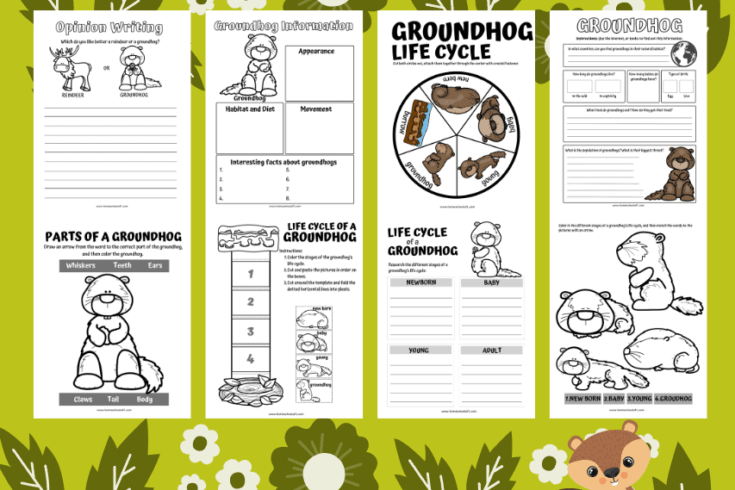 groundhog-life-cycle-printables-735x490 Groundhog Day Science Activities