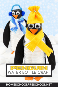 How to Make a Water Bottle Penguin Craft for Kids