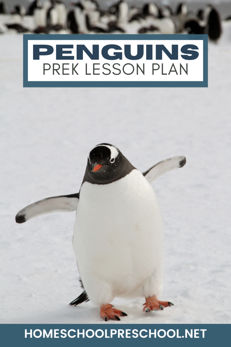 Penguin Lesson Plans