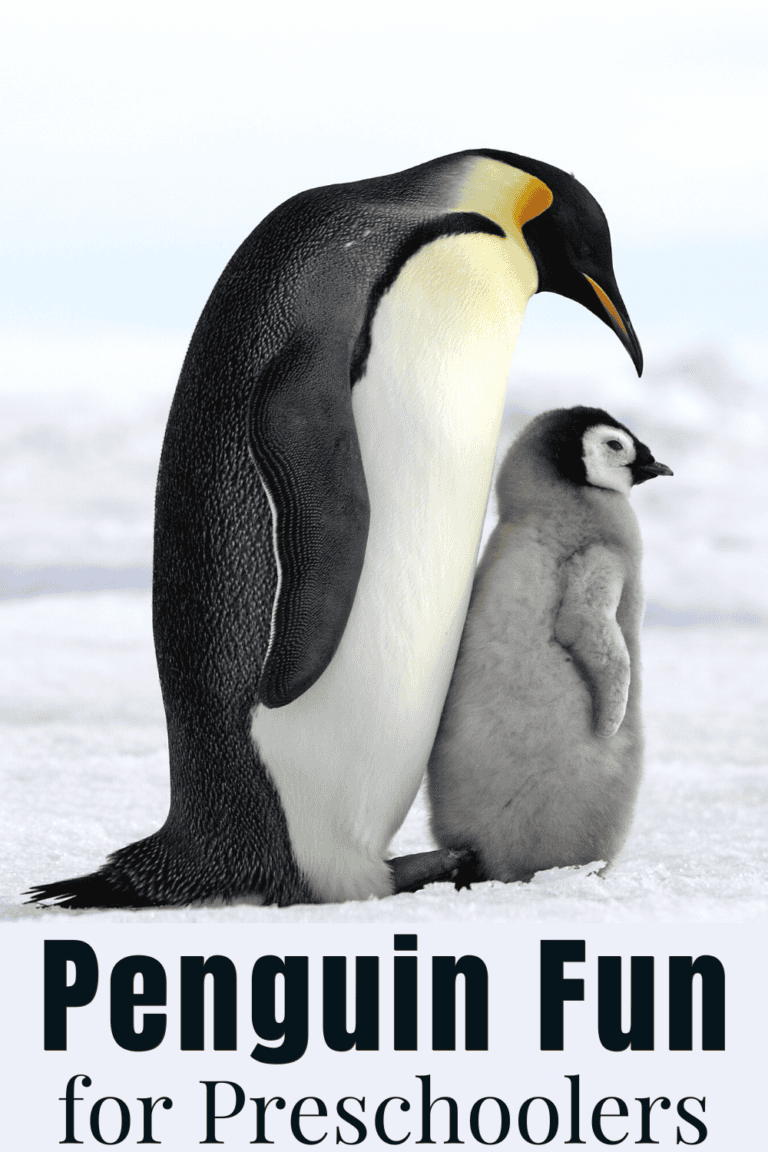 Fun and Engaging Penguin Preschool Activities Guide