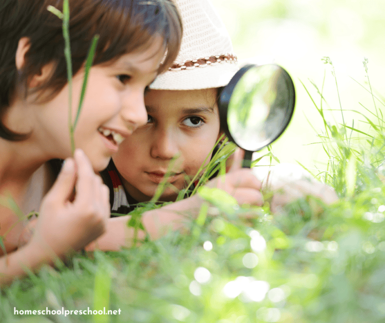 Engaging Spring Lesson Plan for Preschool: Learning and Fun