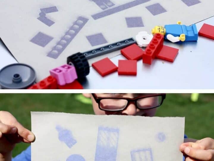 Image for Sun Prints