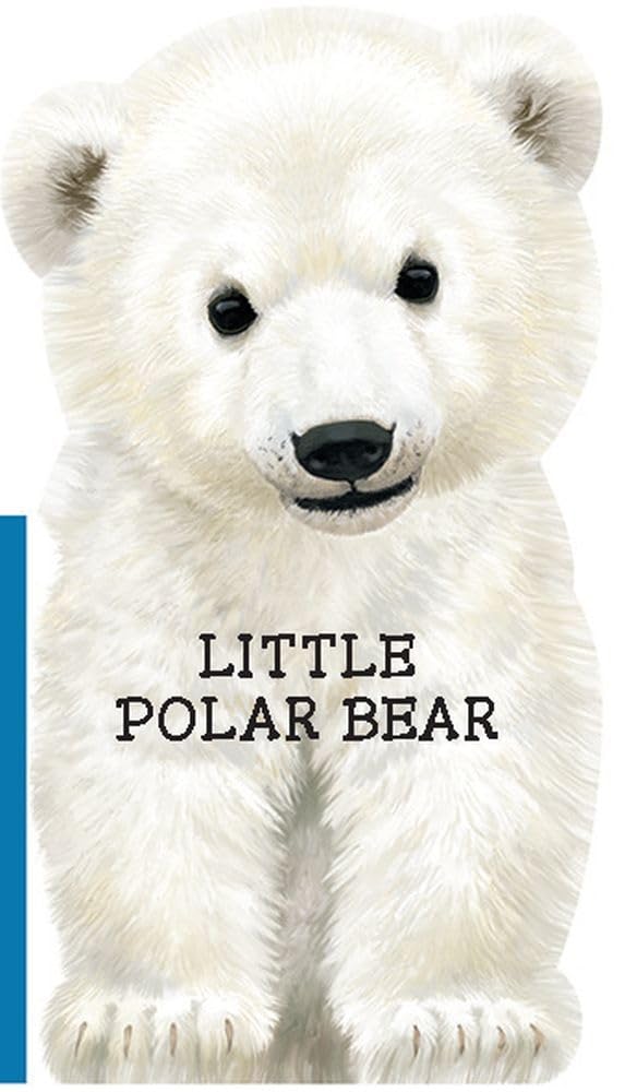 51TUwLcBWzL._SL1000_ Children's Books About Polar Bears