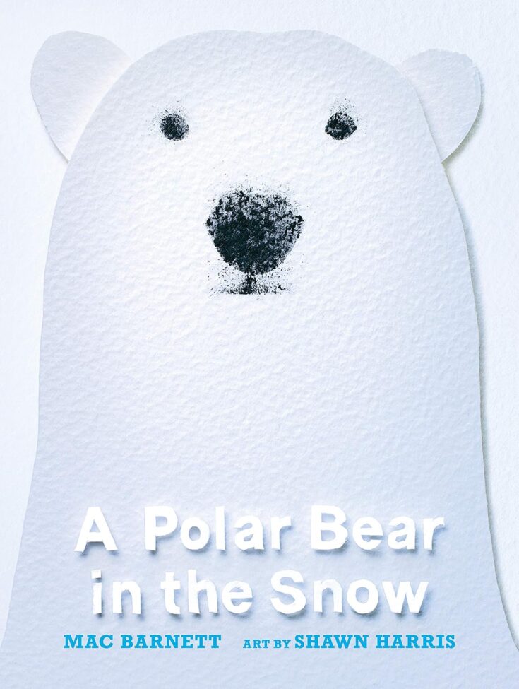 81rHarTGyBL._SL1500_-735x975 Children's Books About Polar Bears