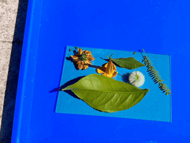 Image for Sun Art