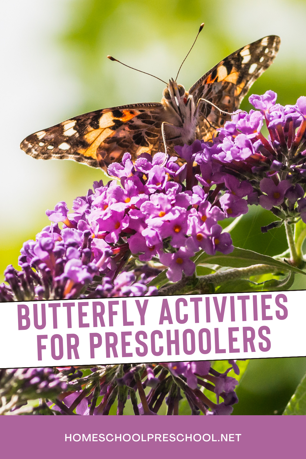 butterfly-activities-for-preschoolers Butterfly Activities for Preschoolers