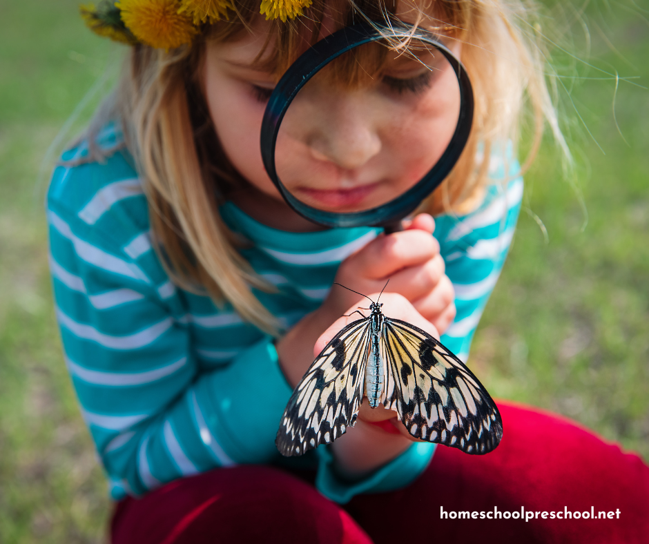 butterfly-science Butterfly Activities for Preschoolers