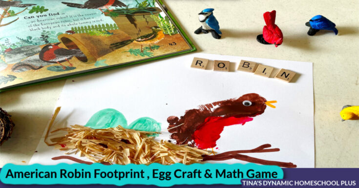 Bird-Craft-For-Kindergarten-Make-an-Adorable-Fun-American-Robin-Foot-Print-by-Tina-Robertson-735x385 Spring Footprint Crafts