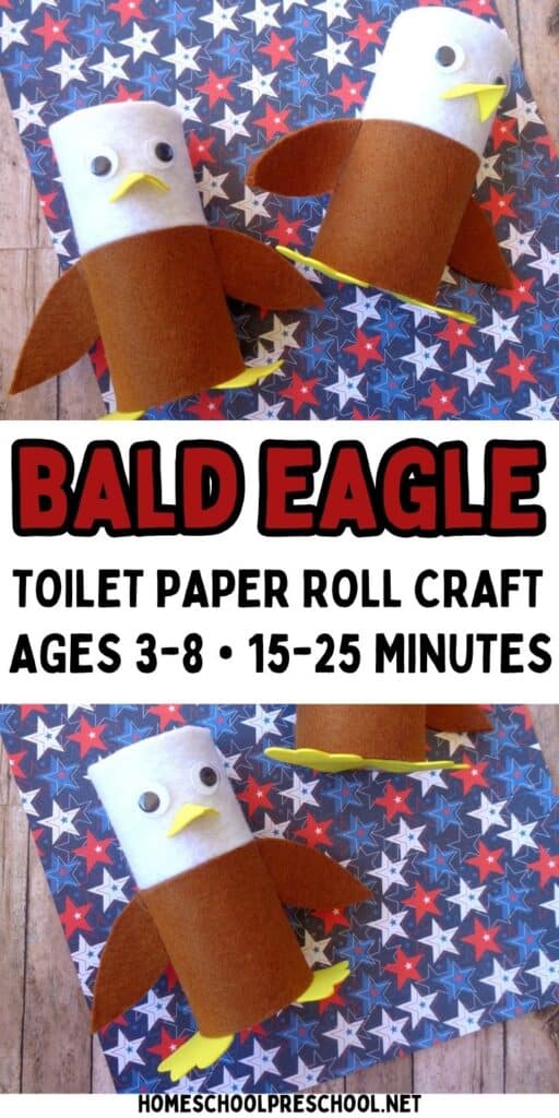 Bald eagle toilet paper roll craft for kids showing three finished eagle figures with paper wings and googly eyes on a patriotic star background