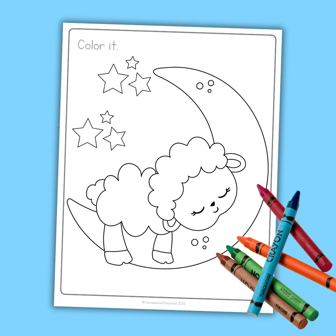 Fun Sheep Coloring Pages for Creative Kids