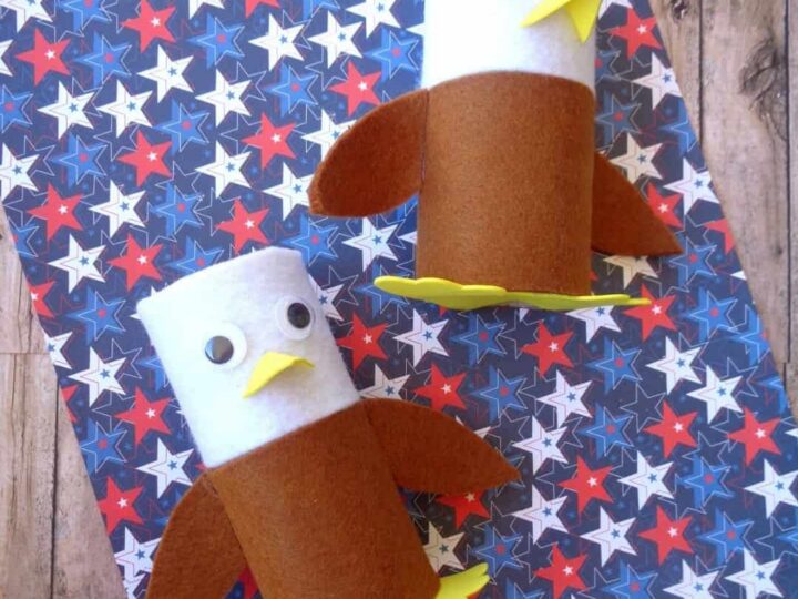 Bald Eagle Toilet Paper Roll Craft for Kids