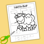 Fun Label the Sheep Worksheet for Kids' Learning