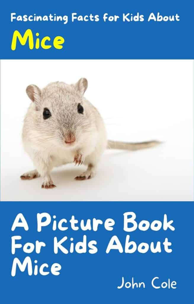 Mouse Books Mouse Books for Kids | Find Fun Reads for Little Ones