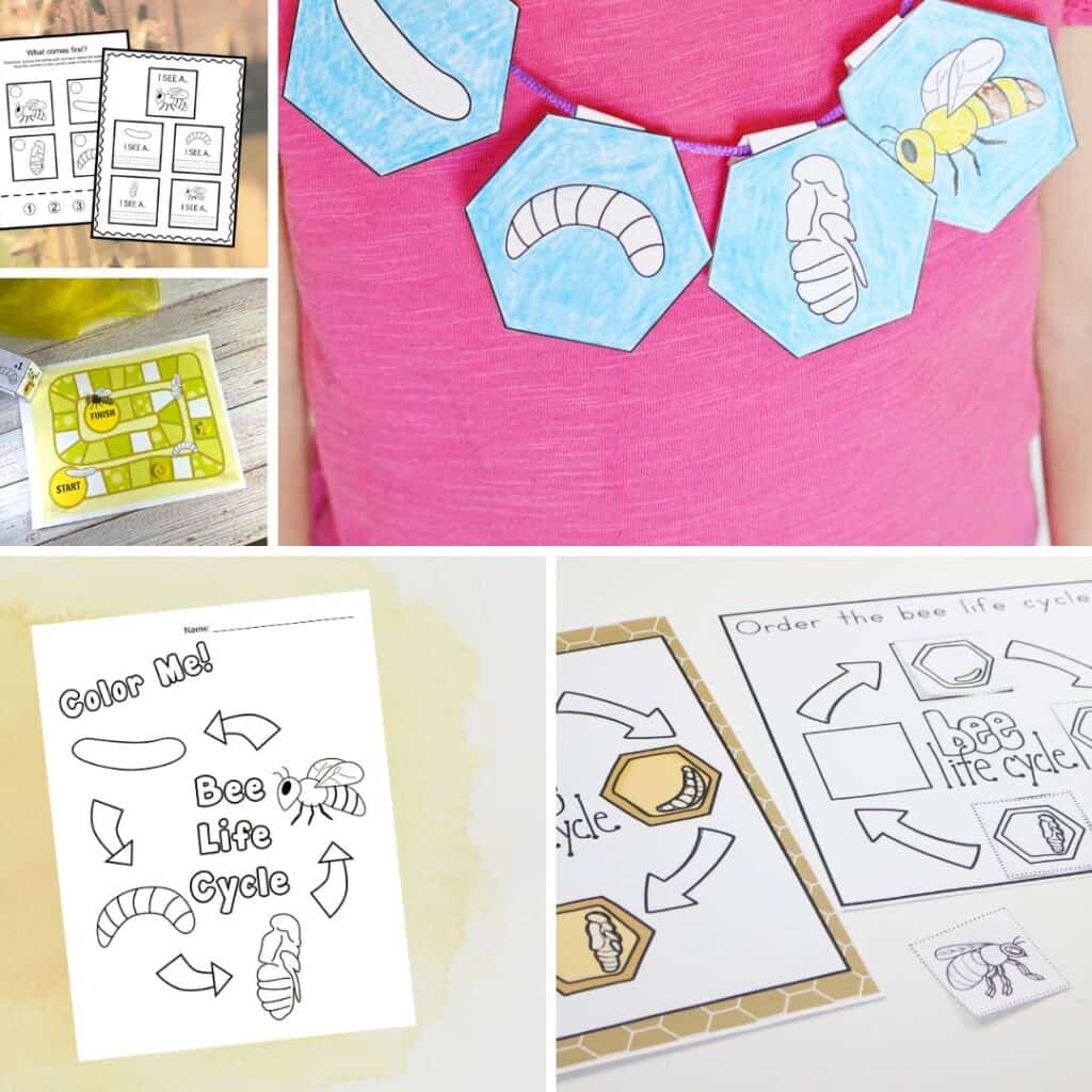 Collage of preschool bee life cycle activities including a coloring page, board game, printable necklace, and sequencing worksheet