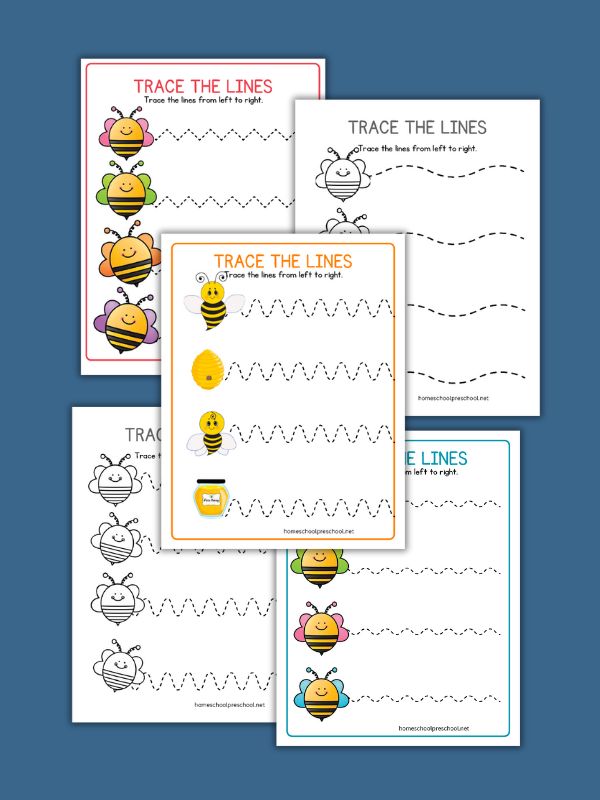 Bee Line Tracing Worksheets