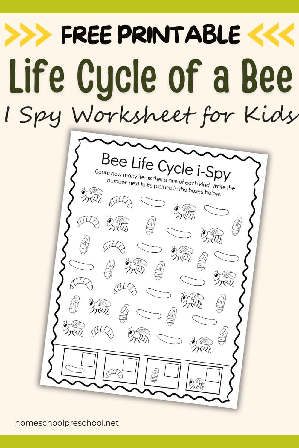 I Spy Life Cycle of a Bee Worksheet for Preschoolers