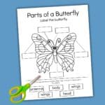 Free Parts of a Butterfly Worksheet &amp; Fun Activities!