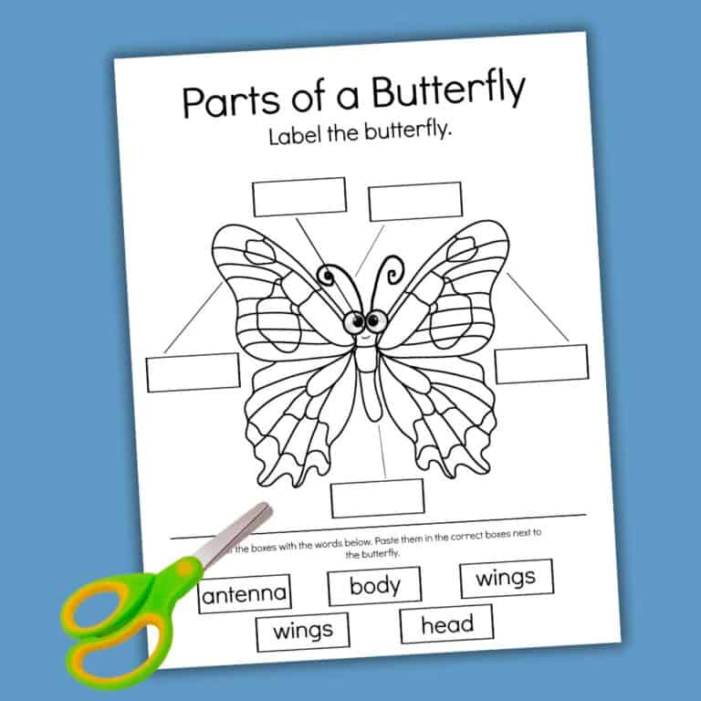 Free Parts of a Butterfly Worksheet &amp; Fun Activities!