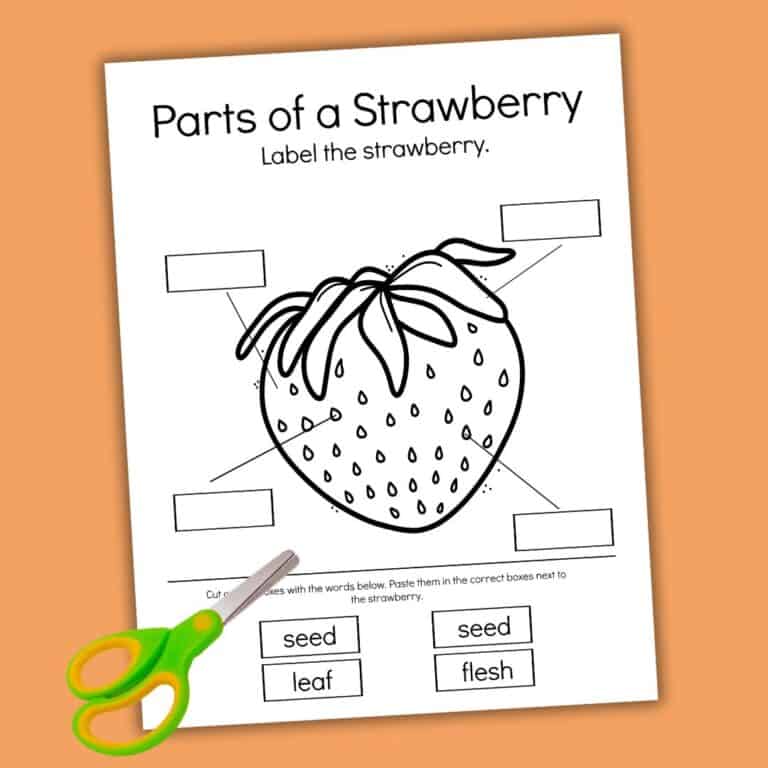 Engaging Strawberry Worksheets and Activities for Preschoolers