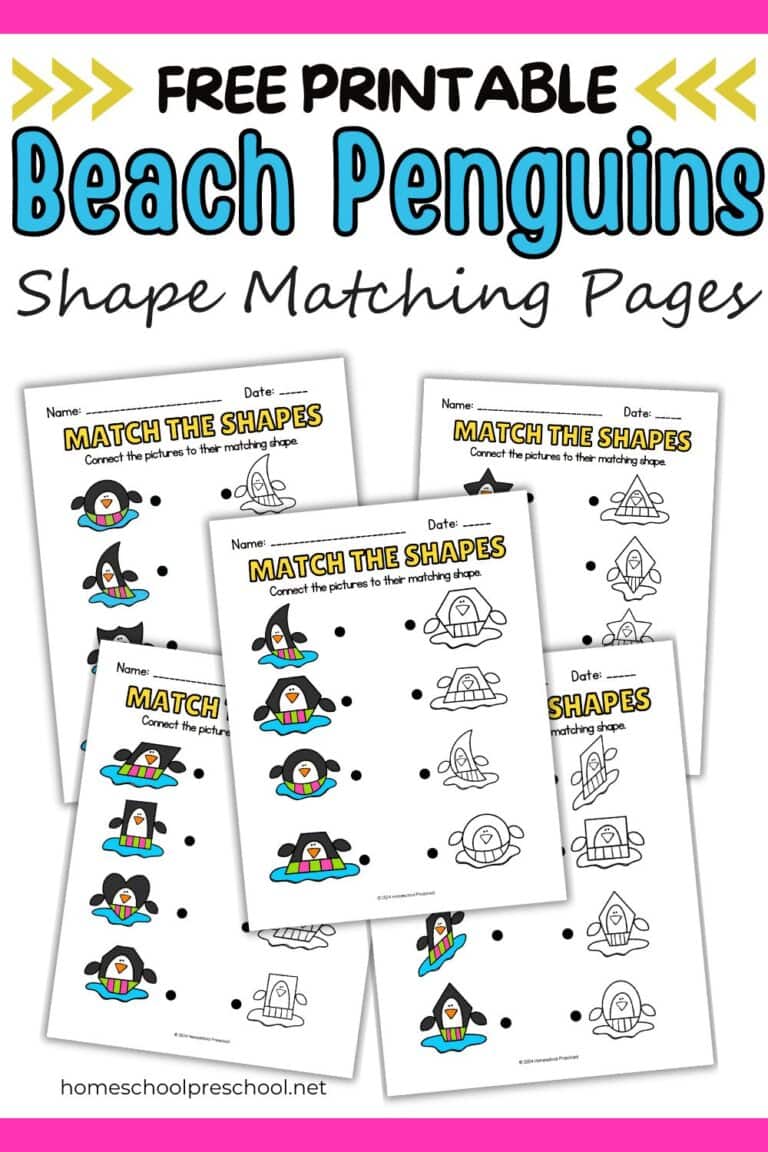 Beach Penguins Shape Matching Worksheets for Preschool