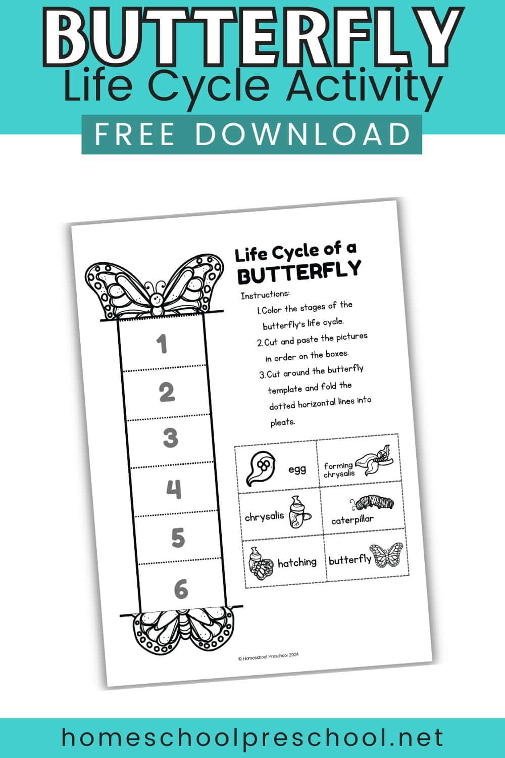 Butterfly Life Cycle Activity for Preschoolers