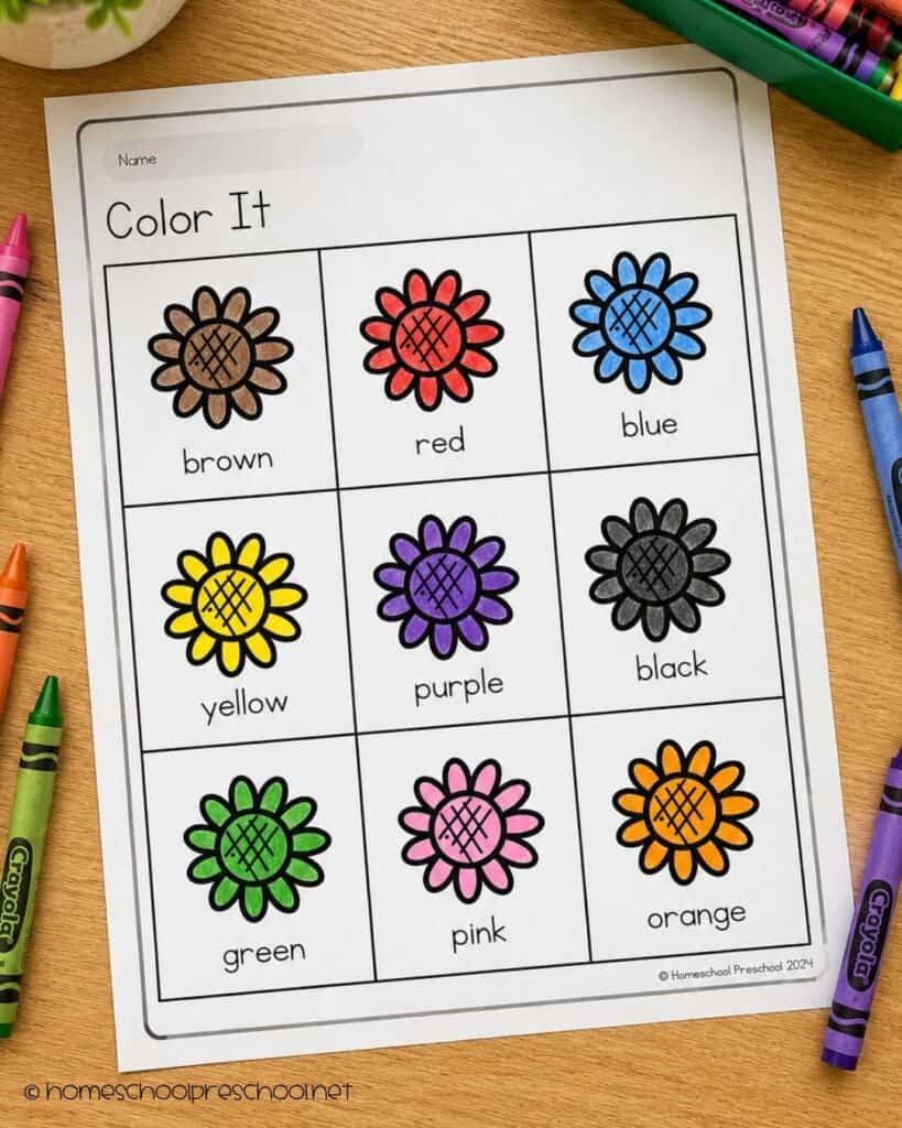 Scarecrow color recognition worksheet for preschoolers featuring sunflower pictures labeled with color words for children to match and color correctly.