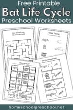 Bat Life Cycle Printable: Engaging Preschool Learning