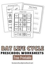 Bat Life Cycle Printable: Engaging Preschool Learning