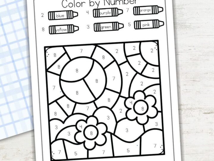Image for Weather Color by Number Pages
