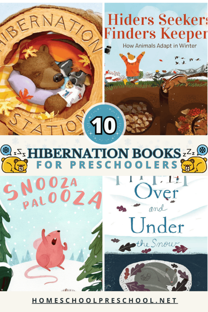 Discover the Best Hibernation Books for Preschoolers