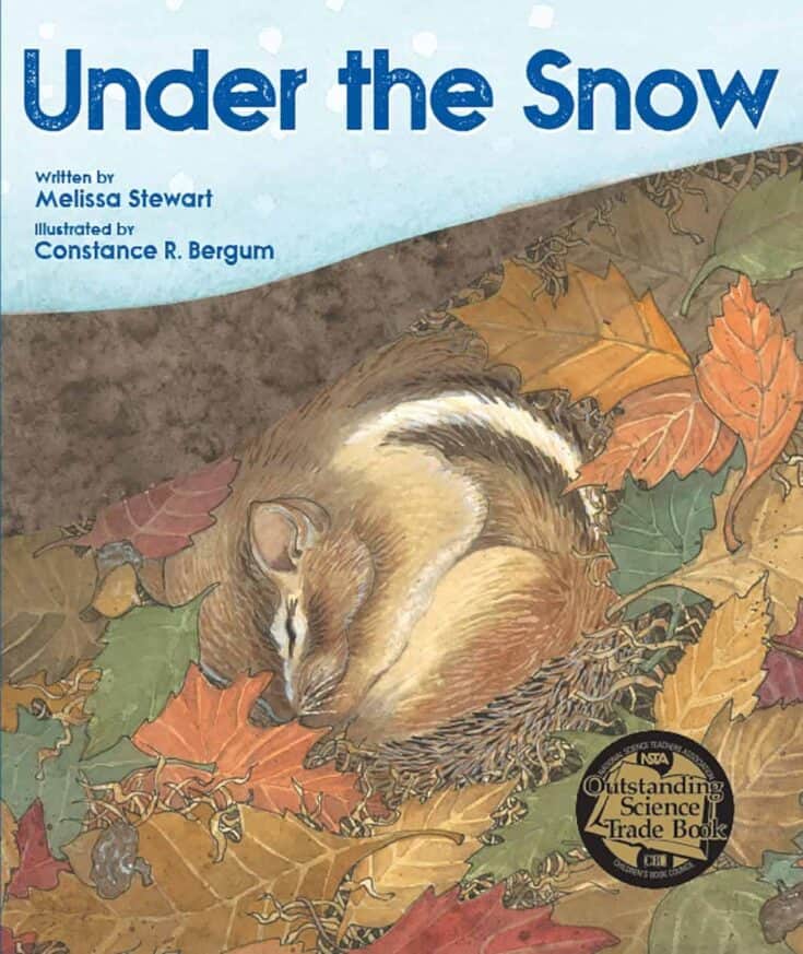 Discover the Best Hibernation Books for Preschoolers