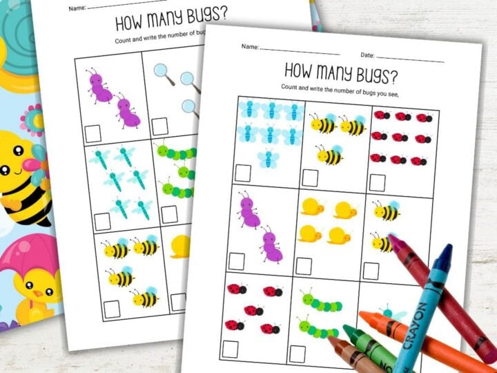 Image for Pre K Bug Counting Worksheets