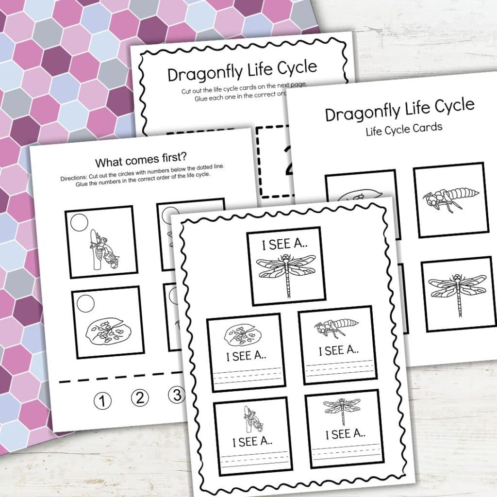Printable number 3 worksheet for preschool