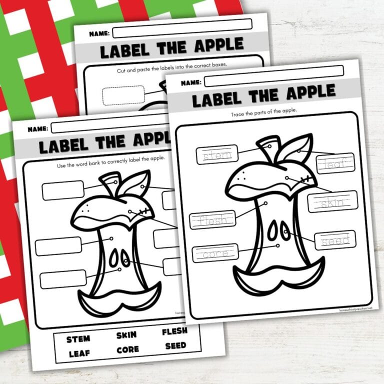 Labeling Apple Labeling Parts of an Apple – Fun Apple Preschool Activity
