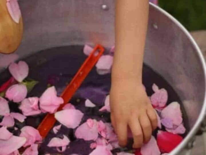 Image for Spring Flower Sensory Science Activity